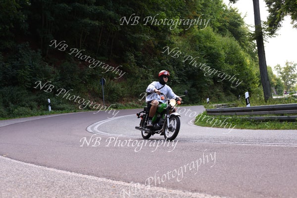 3f6a6819-standard.jpg