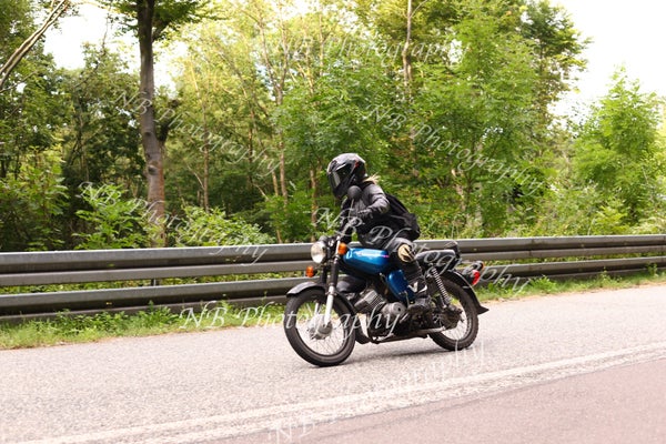 3f6a6957-standard.jpg
