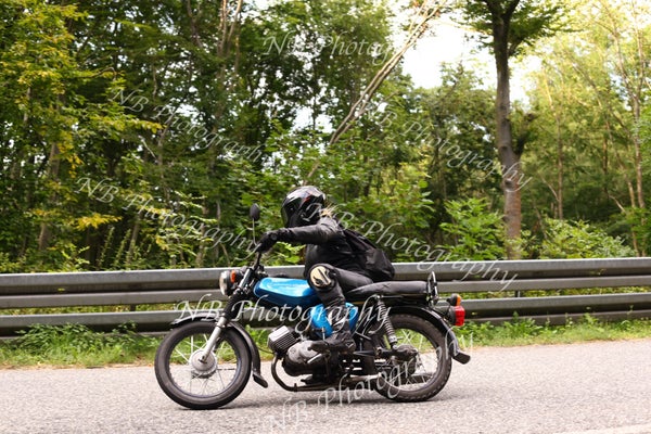 3f6a6959-standard.jpg