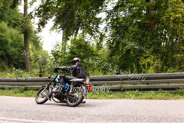 3f6a6962-standard.jpg