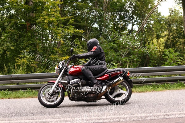 3f6a6967-standard.jpg