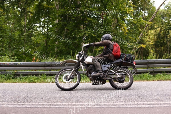 3f6a6985-standard.jpg