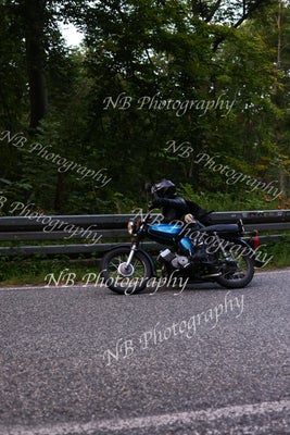 3f6a7539-standard.jpg