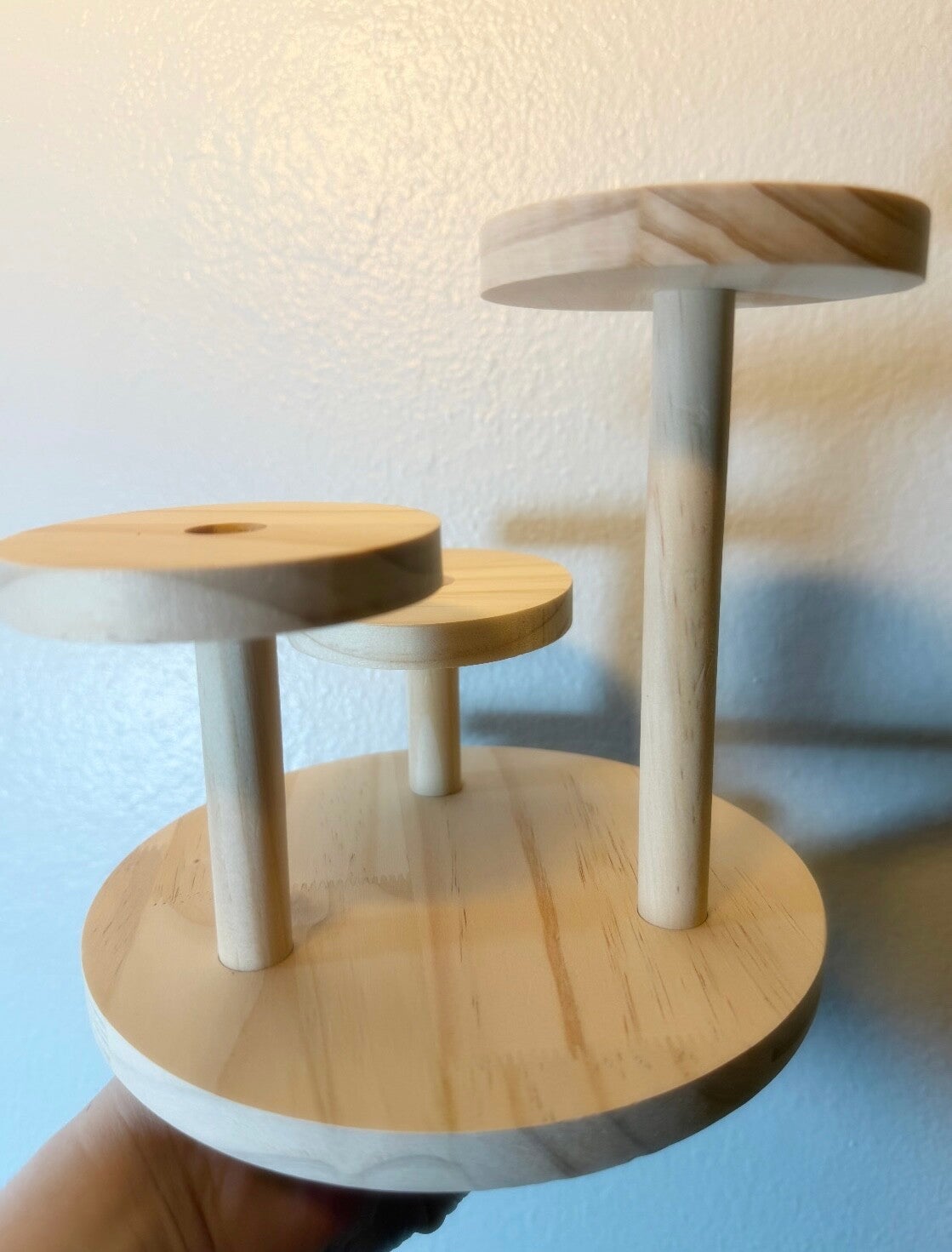 Create your own jumping spider Playground