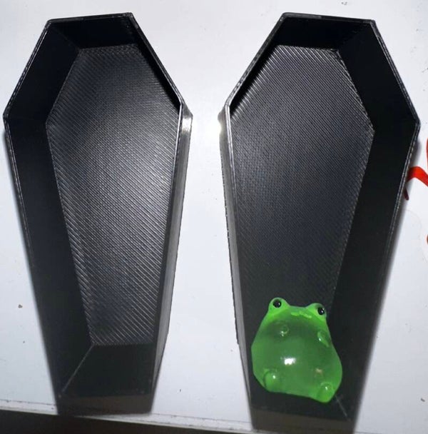 Magnetic Coffin jumping spider hide