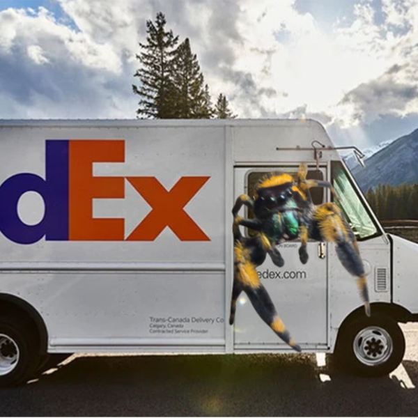 Custom shipping (message for quote)