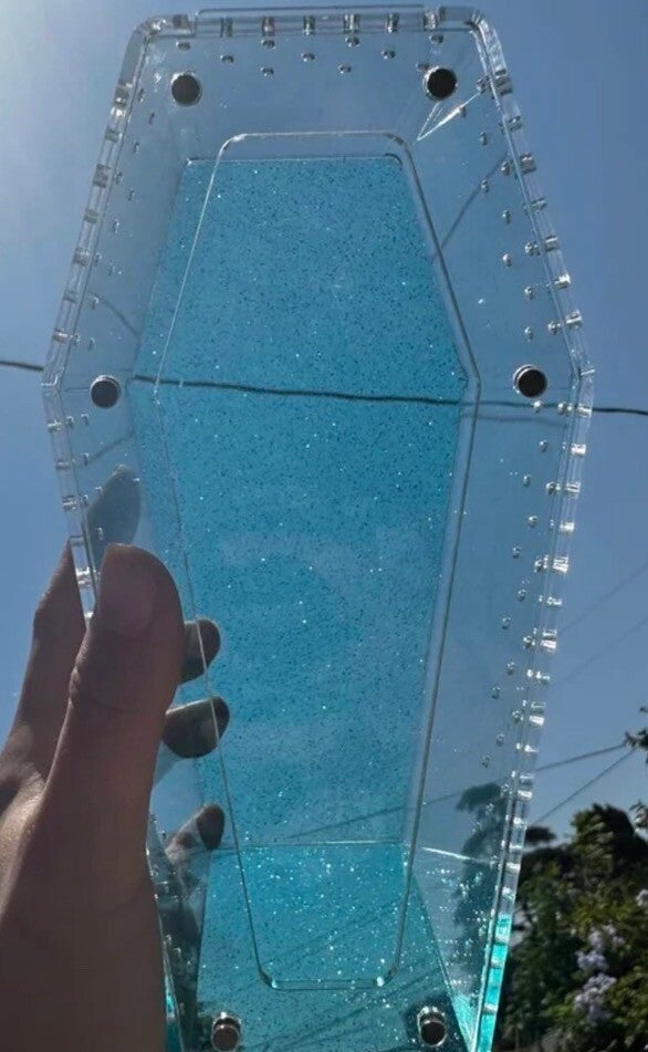 7.83x3.94x3.9" coffin jumping spider enclosure