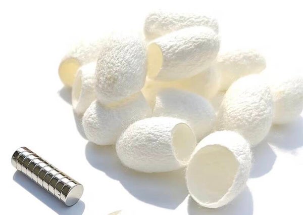 Silk jumping spider hide with magnet add on