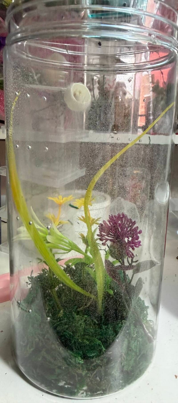 ADD ON: 4x8 enclosure container with ventilation