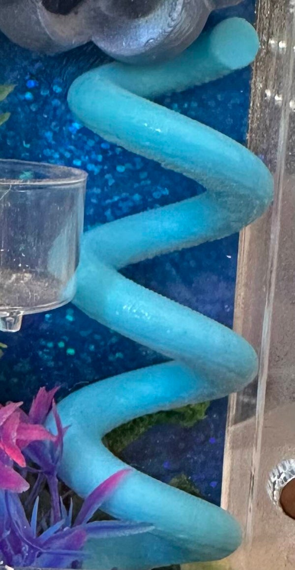 Jumping spider spiral