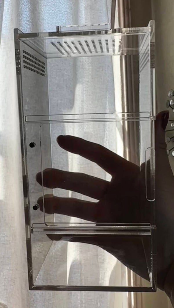 3x3x6 clear jumping spider enclosure