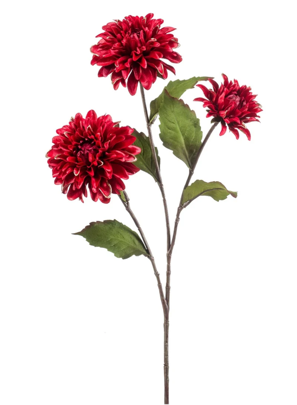 Dahlia Goldline