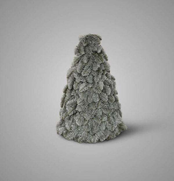 BRYNXZ Nobilis tree M