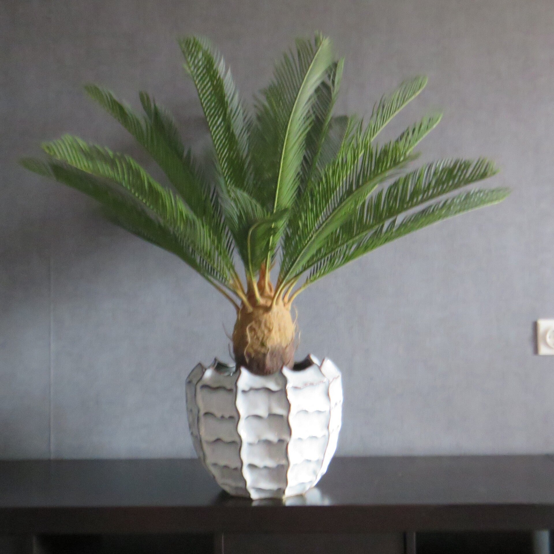 Kunstplant Cycas Palm – 80 cm hoog, in zwarte binnenpot