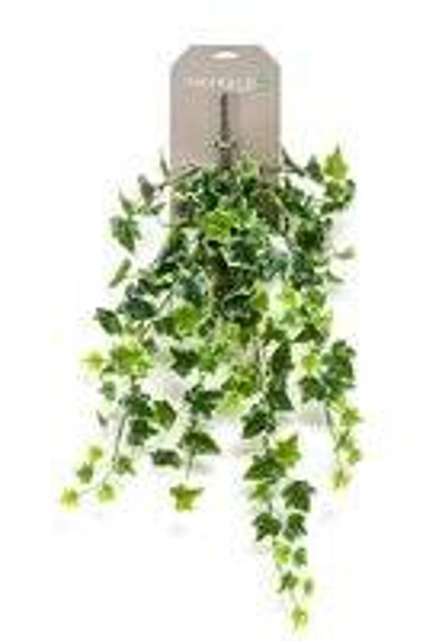Kunst klimop hangplant Ivy groen/wit 70cm