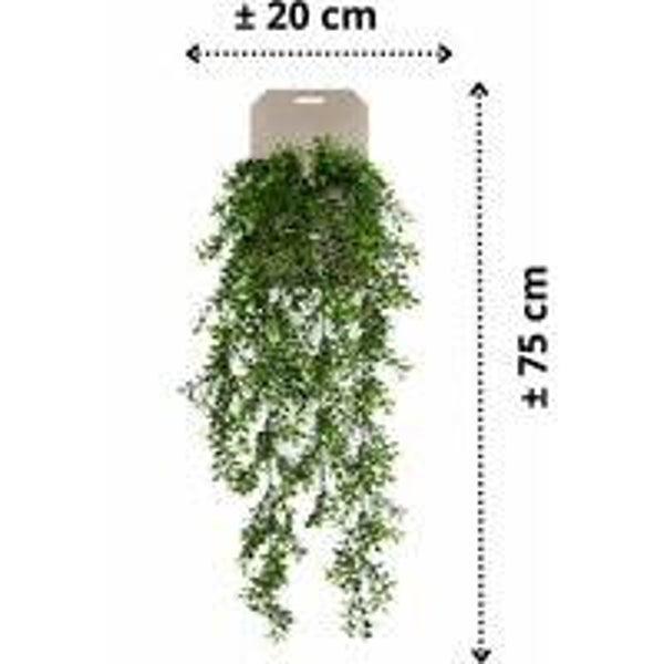 Kunsthangplant Boxwood