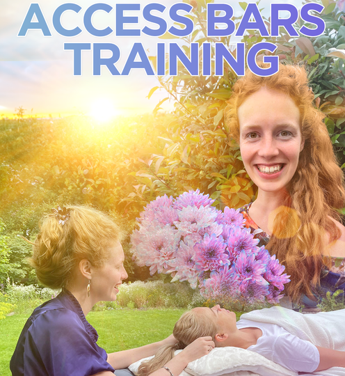 Workshop Access Bars®