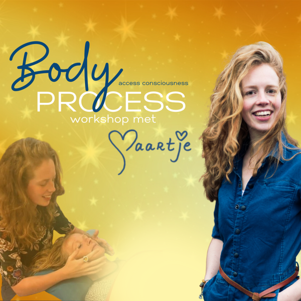 Workshop Access® Body Process