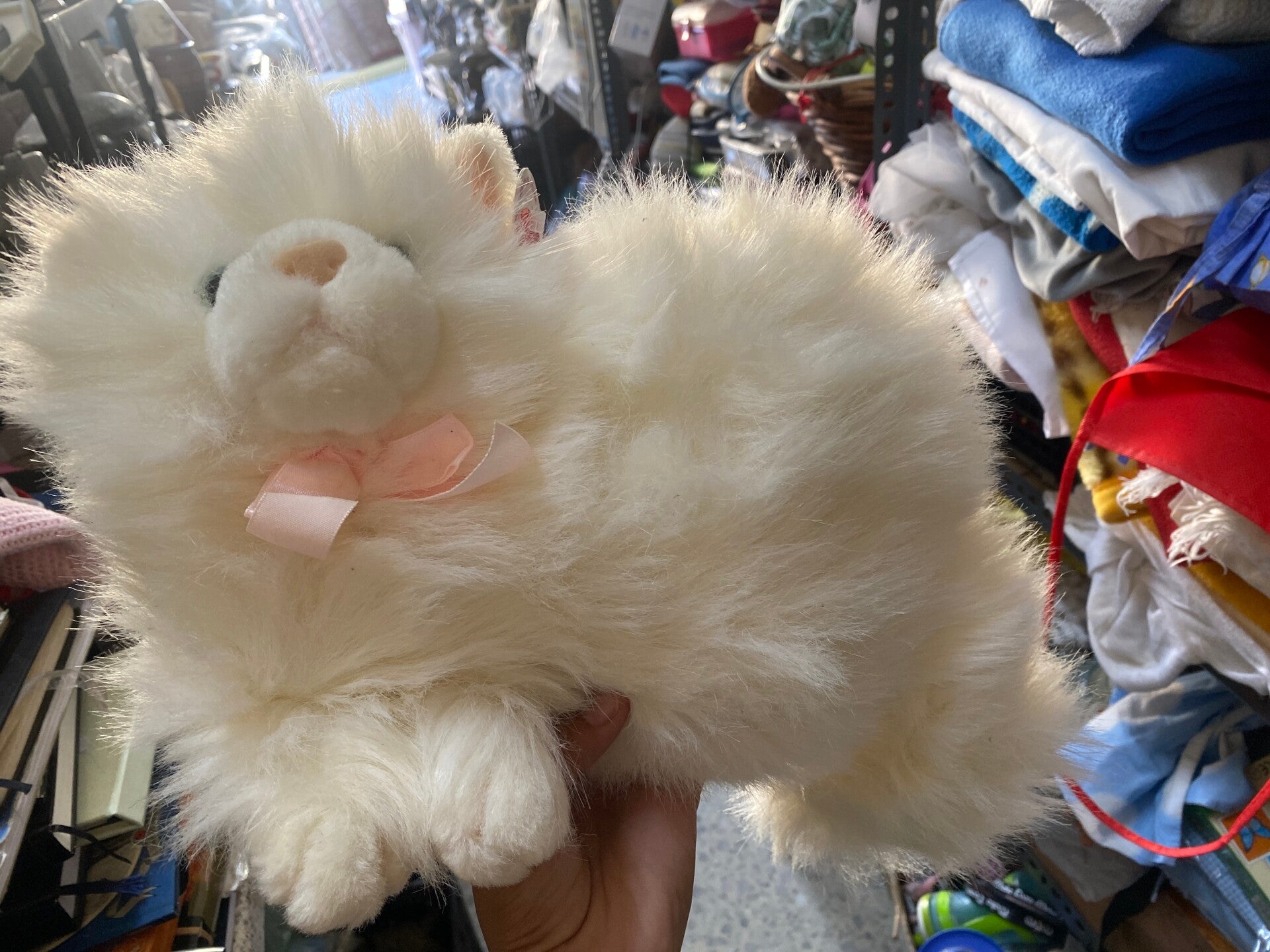 Cat - Brand New - Toys