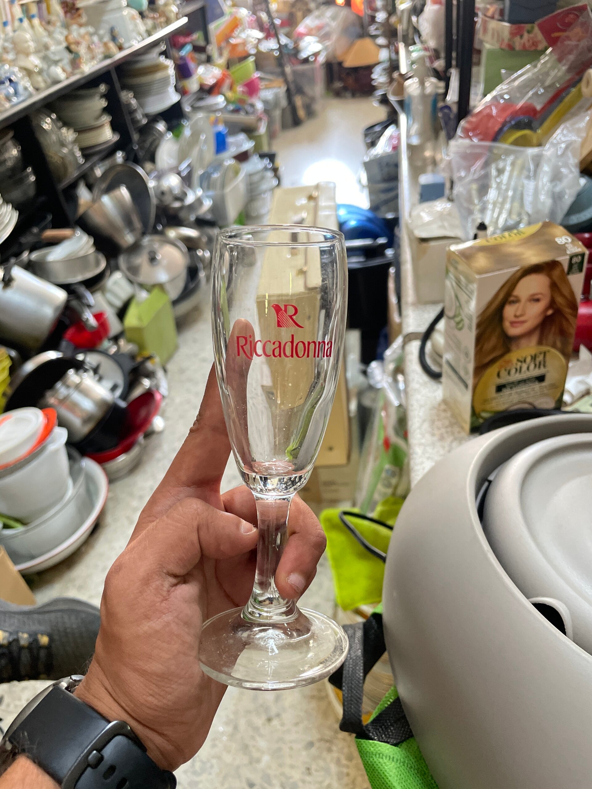 Riccadonna Champagne Glasses