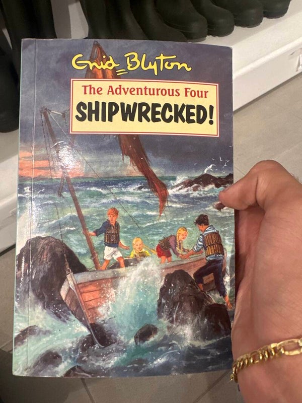 The adventurous four: Shipwrecked! - books*