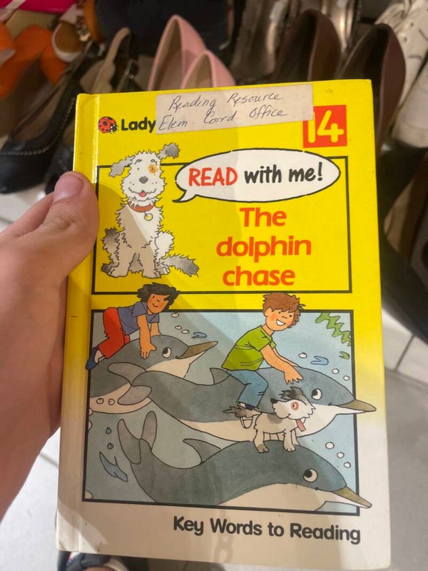 The Dolphin Case Ladybird - Books