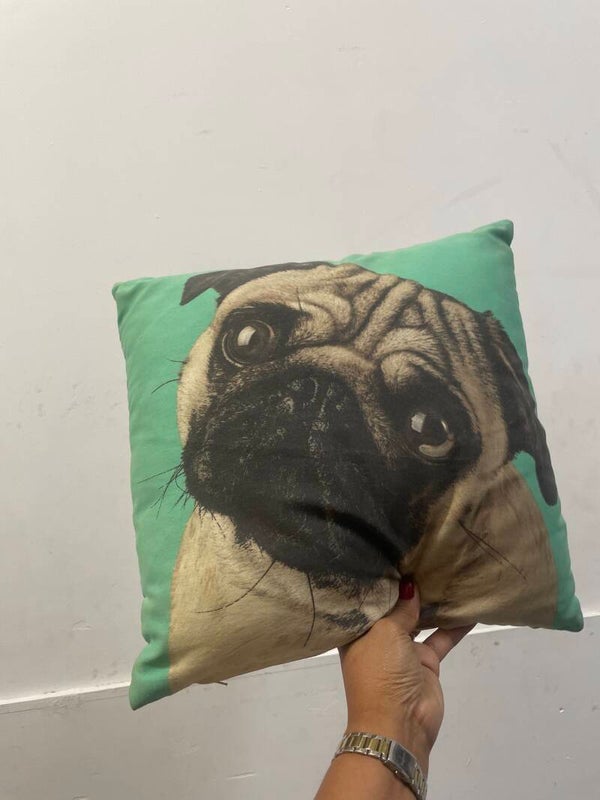 Bulldog Cushion - Supplies