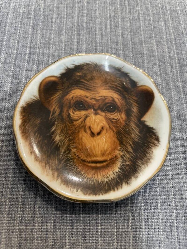 Fine Bone China Plate - Decor