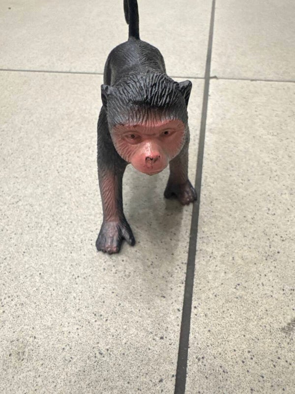 Monkey - Toys
