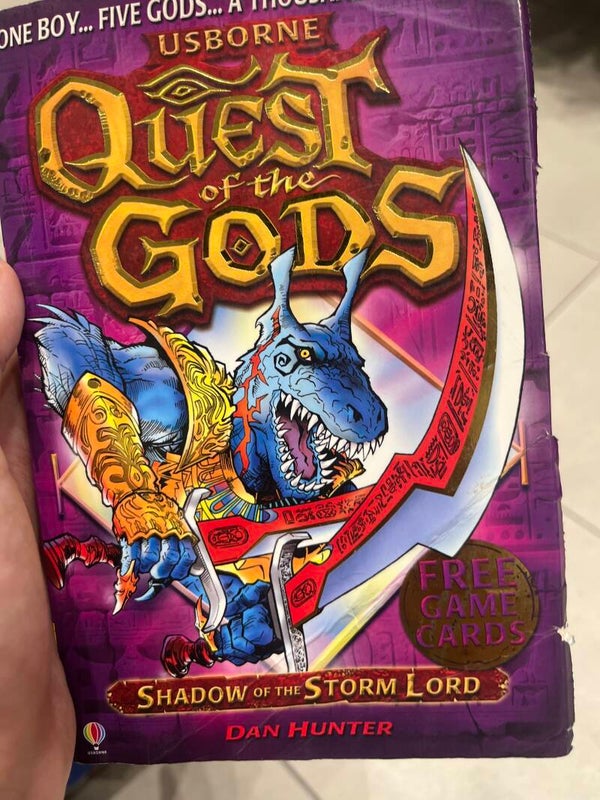 Quest Of The Gods Shadow of the storm lord - Books*