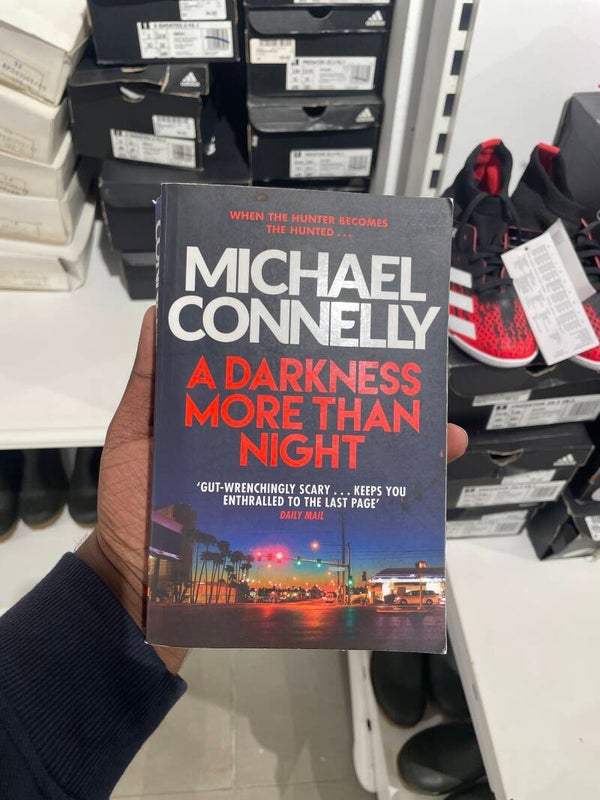 A Darkness More Than Night - Books