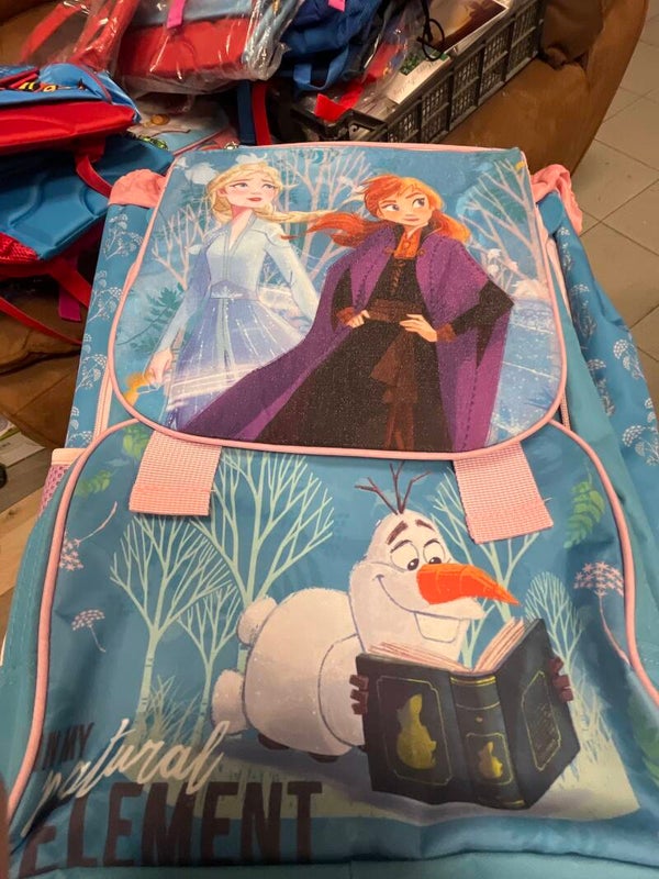 Frozen II Grown Up Bag with stationary - Bags*