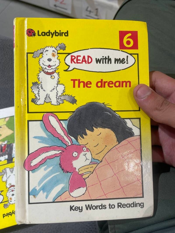 The Dream Ladybird - Books