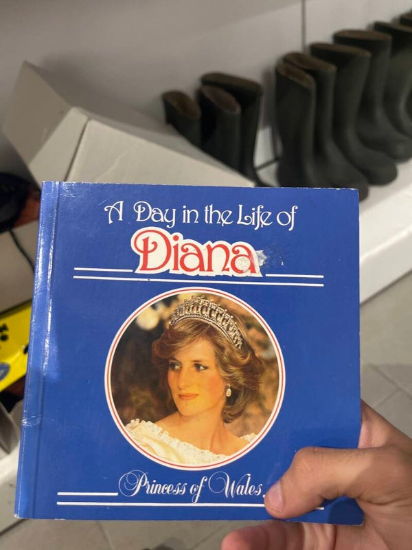 A Day In The Life Of Diana - Books