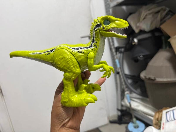 Velociraptor Dinosaur - Toys