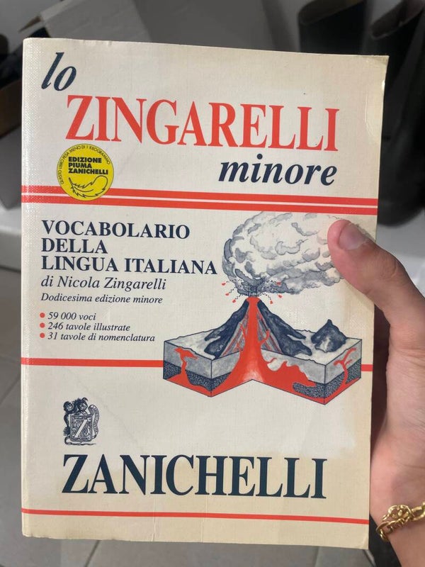Lo zingarelli minore- books*
