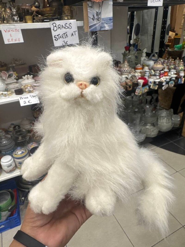 Cat Soft Toy-Toys***