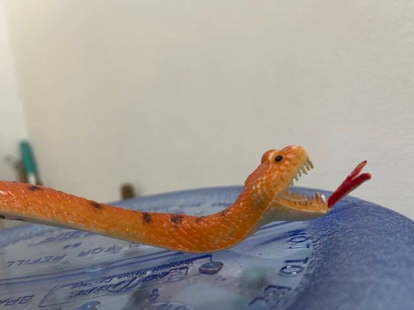 Snake - Toys