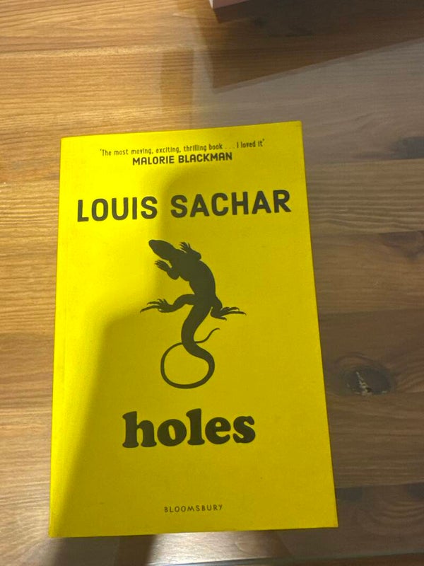 Louis Sachar: Holes - Books*