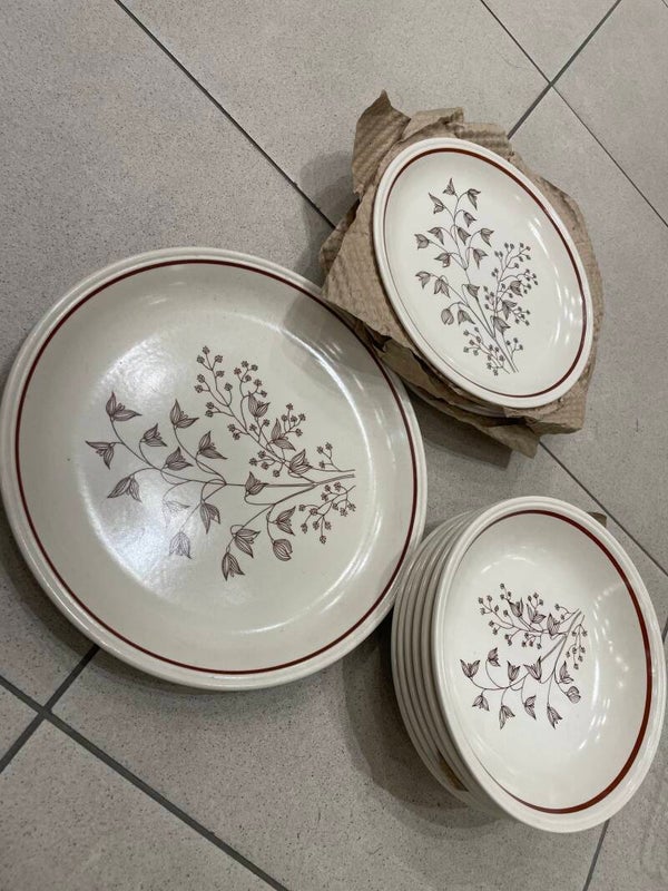 Microwave Friendly Plates 13pcs - Supplies