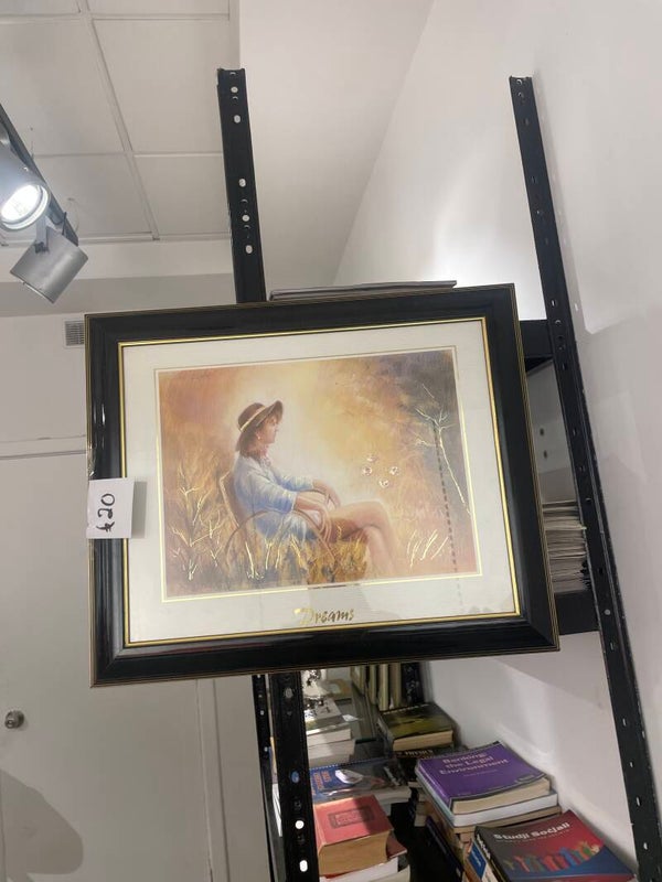 Dreams Framed Print - Frames