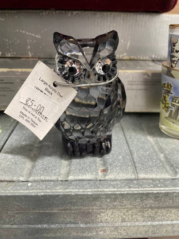 Owl Acrylic Black in Glass - Decor