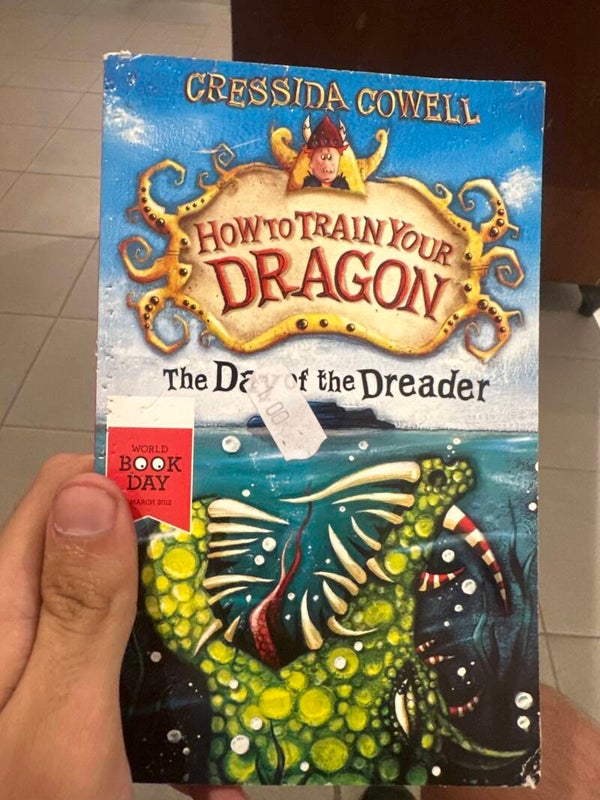 How To Train Your Dragon - Books*