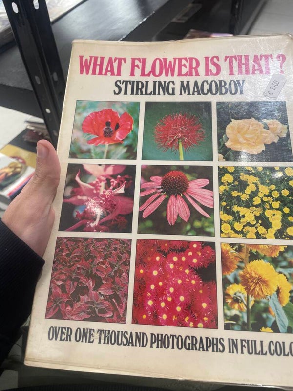 What flower is that? - Stirling Macoboy - Books*