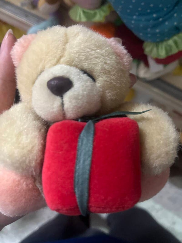 BEAR SOFT TOY~TOYS~**