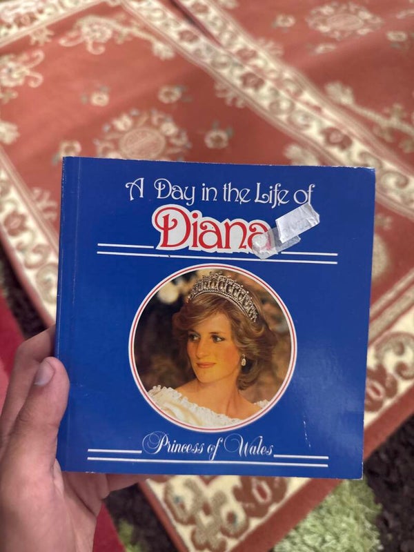 A day in the life of Diana - books*