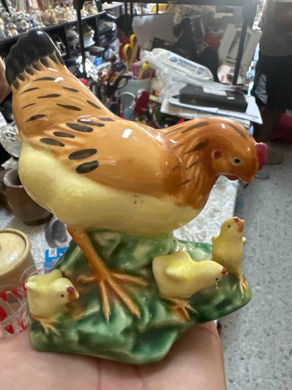 Roster or hen*