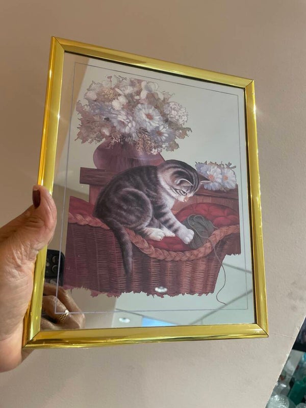 Kitten & Wool In Basket - Frames