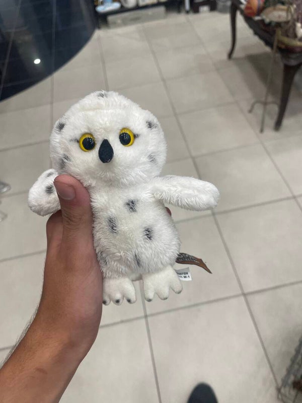 Owl soft toy - toys*