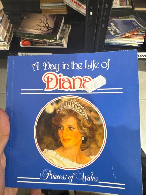A day in the life of Diana - books*